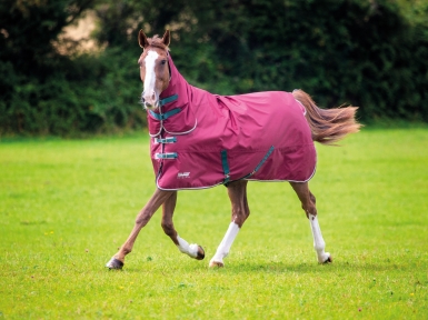 Shires Tempest Original 200 Turnout Combo Rug (RRP ÃÂ£89.99)